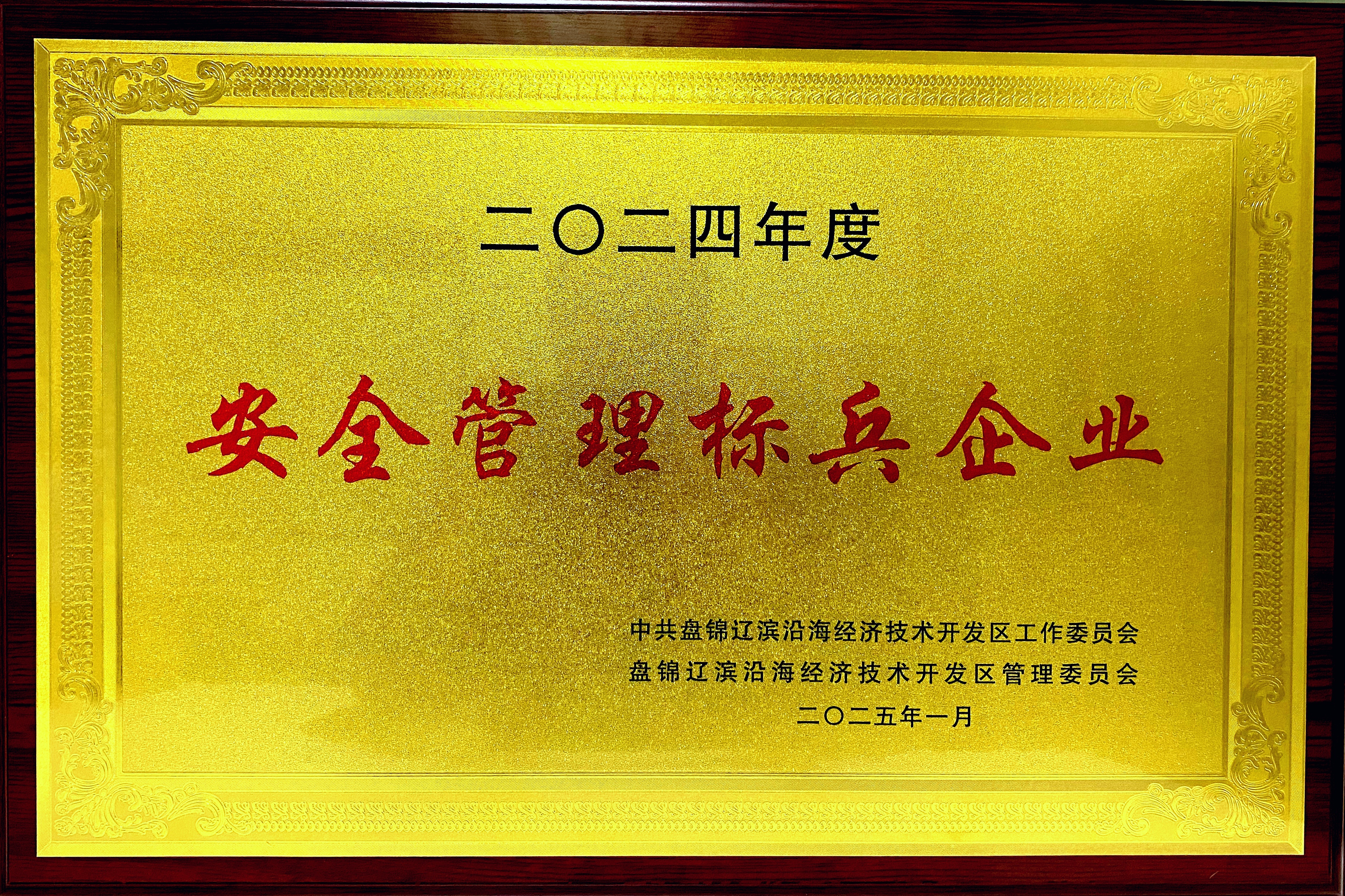 “安全管理標兵企業”獎牌.jpg