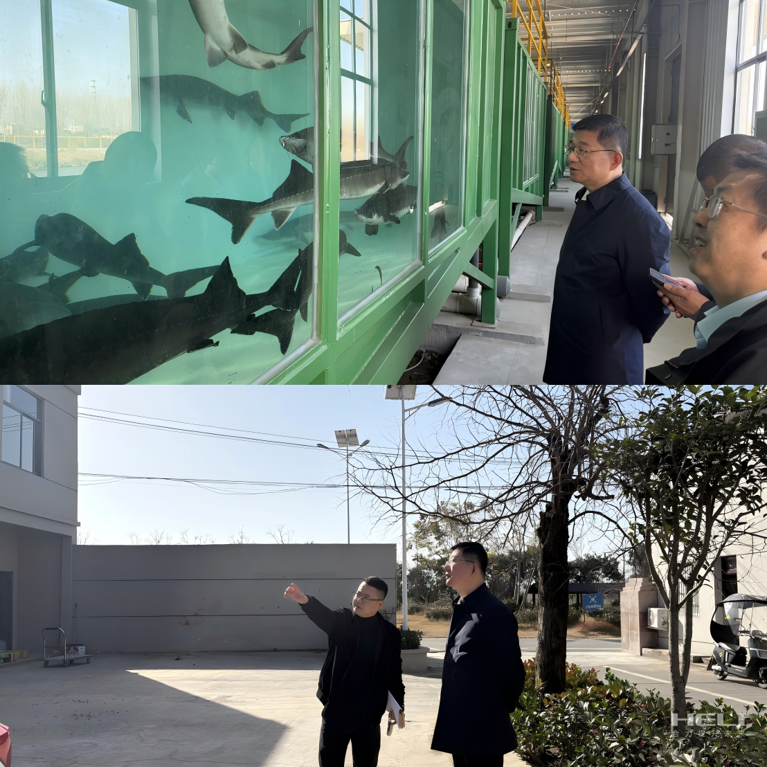 調(diào)研“智慧漁場”及社區(qū)集體經(jīng)濟發(fā)展.png 調(diào)研“智慧漁場”及社區(qū)集體經(jīng)濟發(fā)展.png